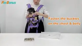 How to put a small dog into the dog carrier backpack?