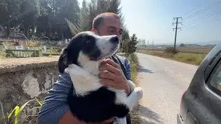 Yol Kenarına Terkedilen Köpekleri Aldık | Çuvalla Atmışlar