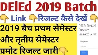 DElEd 2019 1st Sem & 3rd Sem Promoted Result Declared | DElEd 1st  & 3rd Sem Promote Result जारी