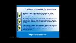 Natural Aid for Deep Sleep&nbsp;- Hops Flower