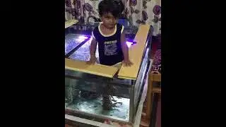 FISH SPA IN KERALA