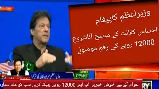 Insaf imdad program || nser survey 2021 || ehsas kafalat program || ehsas emergency cash program