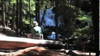 Clearwater Falls, Oregon - Beautiful & Photogenic Land of Umpqua Waterfall