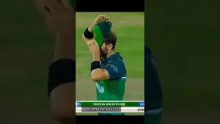 Congratulations PCT Fans |Pakistan is now No 1 ODi team ✌🏻🔥|#cricket #pakistan #todaymatch #pakwon