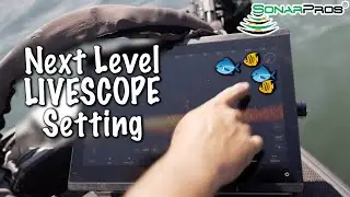 Эта КЛЮЧЕВАЯ НАСТРОЙКА выводит ваш LiveScope на новый уровень.