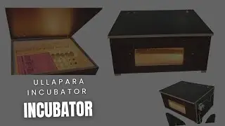 200 eggs capacity incubator #incubator 