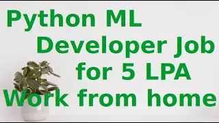 Remote Python Machine Learning Developer Job | Work from Home Job.