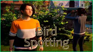 Finding A Bird For Birdwatcher | Life Is Strange True Colors