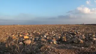 CRAU : DES TRESORS ENTRE LES CAILLOUX