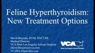 Feline Hyperthyroidism New Treatment Options (Podcast)
