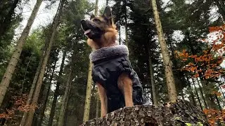 #14 GINAA | GAARA | VALHALLA | Chcieliśmy dojść na Leskowiec 🌲😱 ale się nie udało 🤣 | Beskid Mały