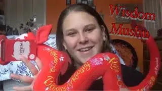 Disney Store Haul | Wisdom Mushu