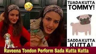 Raveena Tondon Perform Sada Kutta Kutta Tuhada Kutta Tommy | Shehnaaz Gill | Yashraj Mukhate | Tommy