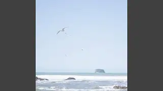 soft sea foam