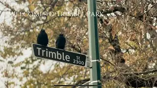 CONS491-Group15 Trimble Park