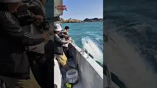 Small Rod vs MONSTER Tuna‼️ This Was Insane #shorts #fish #fishing #trending #amazing #viralvideo