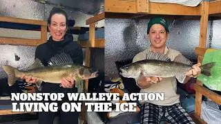 3 Nights, Over 250 Fish, 1 Hook In The Face | Our BEST Ice Fishing Trip Yet