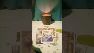 О чем мечты мужчин и женщин