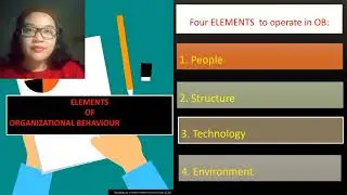 GROUP 1- REPORTING(OVERVIEW OF HUMAN BEHAVIOR IN ORGANIZATION)