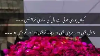Most Heart Touching Poetry|2 line sad heart broken Poetry|Adeel Hassan|Two line urdu sad shayri|
