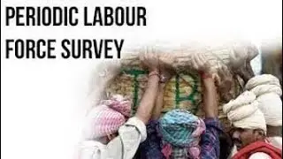 What Is PLFS Survey 