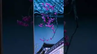 Morning winter nature in japan fullscreen whatsapp status #youtube #shorts #youtubeshorts #softpeace