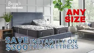 BUZZY'S Black Friday Mattress SALE