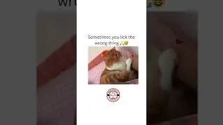 #ComedyVideos #FunnyGhana  #ViralVideos #TrendingNow #FunnyContent #FollowForLaughd #RelatableHumor