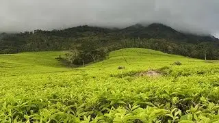 Malawi Highlights - Scenery and Landscape