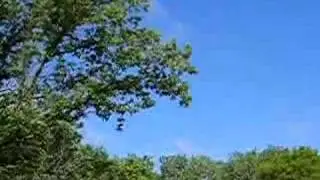 Orchard Oriole audio