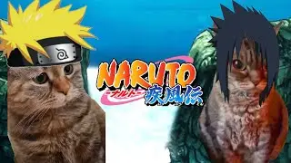 CAT MEMES: Naruto