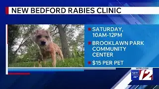 City of New Bedford hosting low-cost rabies clinic