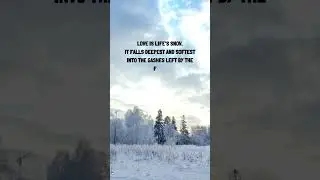 Daily Inspiration  Love is Life's Snow #motivation #quote
