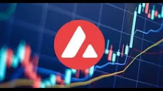 Avalanche AVAX Front Run Bot 2022 Update | Easy Profits in Minute