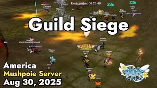 Guild Siege (Mushpoie Server) August 30, 2025 | Flyff Universe