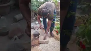 @ChSakhiMuhammadBhatti best natural feeding for Pigeons to get fit well.