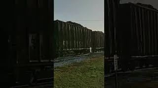 US Sugar Cane Train