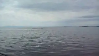 Humpback Whales in Frederick Sound Alaska