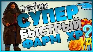 Гайд: 60-й уровень ? ЛЕГКО! Гайд по прокачке! Harry Potter Wizards Unite