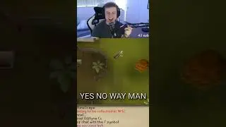 getting agility pet in osrs