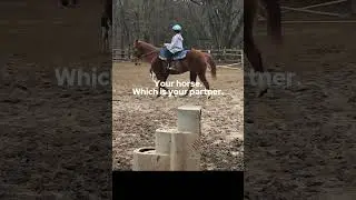 Trust me barrel racing horseback riding most dangerous sport a horse can be up to 2000 pounds