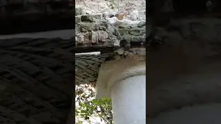 Строительный идиотизм. Дерево под массой кирпичей
