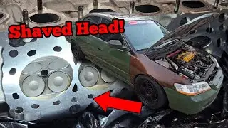 HEAD BACK FROM THE MACHINE SHOP! | ALL MOTOR H23A SWAPPED HONDA! 