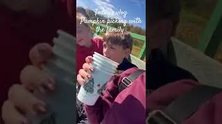 Today&rsquo;s vlog pumpkin picking with the family #familyvlog #pumpkinpicking #pumpkin #vlog#familyfirst