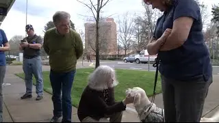 InSight -Joys of Living Assistance Dogs