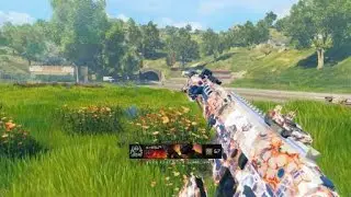 Call of Duty®: Black Ops 4_20201224175414