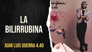 La Bilirrubina • Juan Luis Guerra 4.40 (Karaoke)