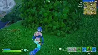 Fortnite palm paradise Cat