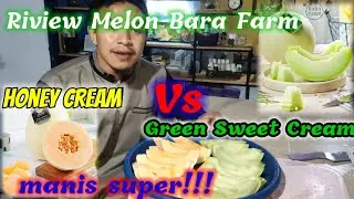 MAKAN BUAH MELON TERMANIS DIDUNIA. BARA FARM