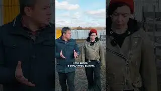 Курдюк у баранов. Для чего он нужен? #фермер #сельскоехозяйство